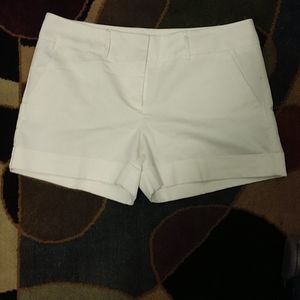 Dressy cuffed shorts